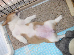 Resize of PICT0698_thumb.jpg